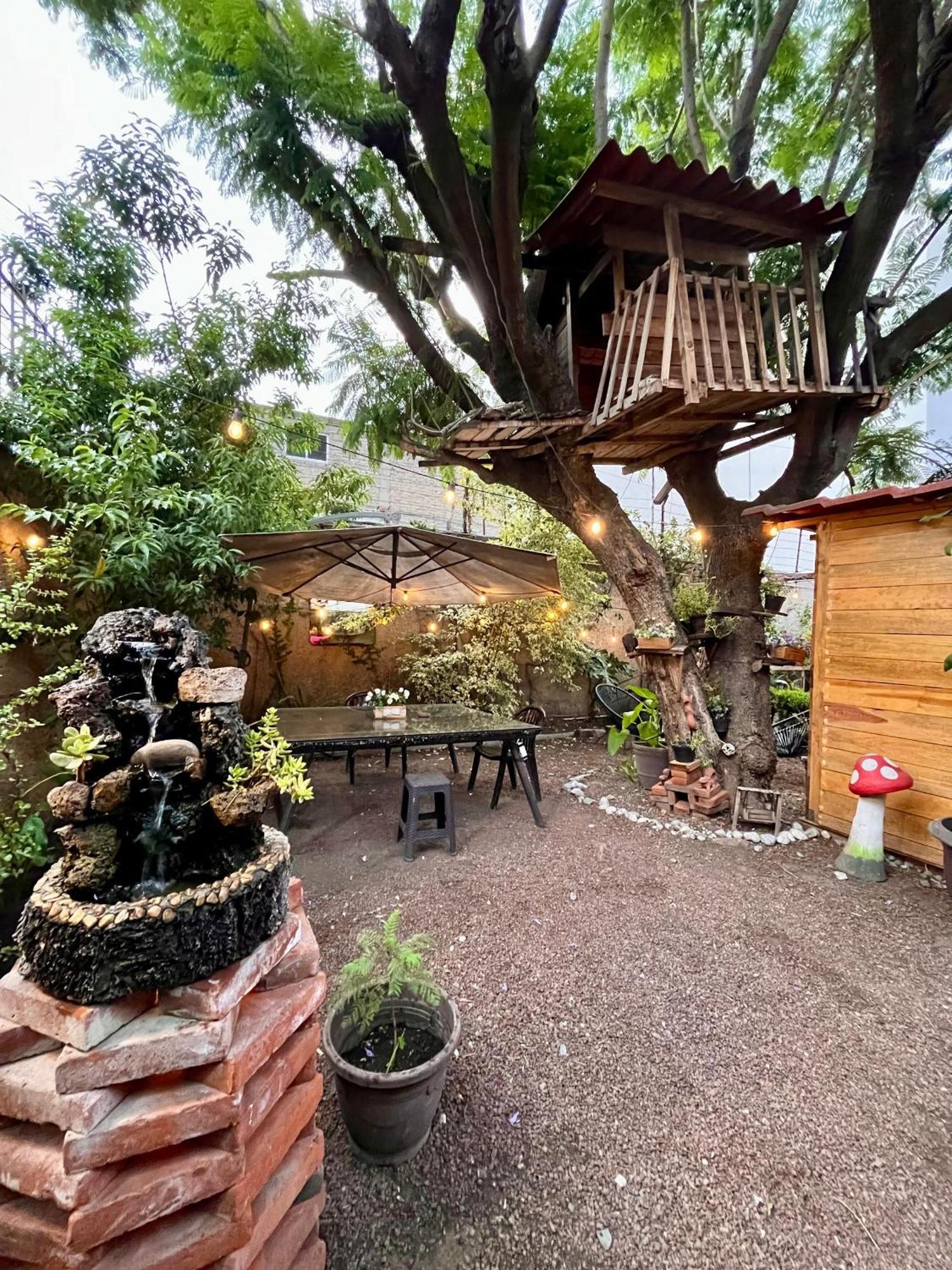 Casita Del árbol México DF