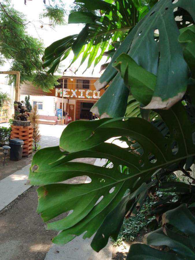 Casita Del árbol * Cidade do México