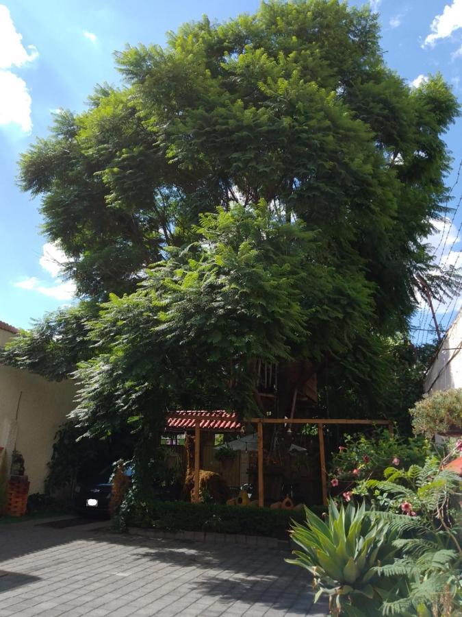 Casita Del árbol * Cidade do México